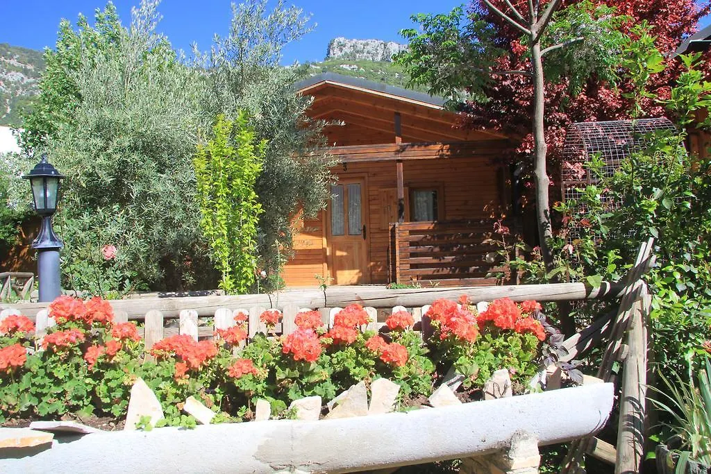 Cabanas Los Pinos Arroyo Frio Apartment