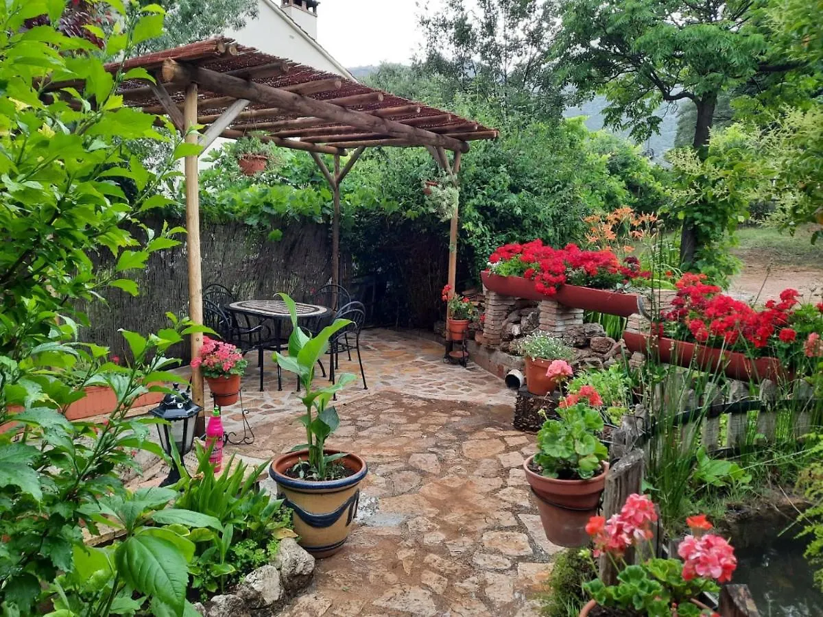 Cabanas Los Pinos Arroyo Frio Spain