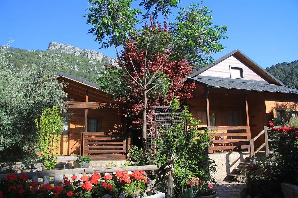 Cabanas Los Pinos Arroyo Frio Apartment
