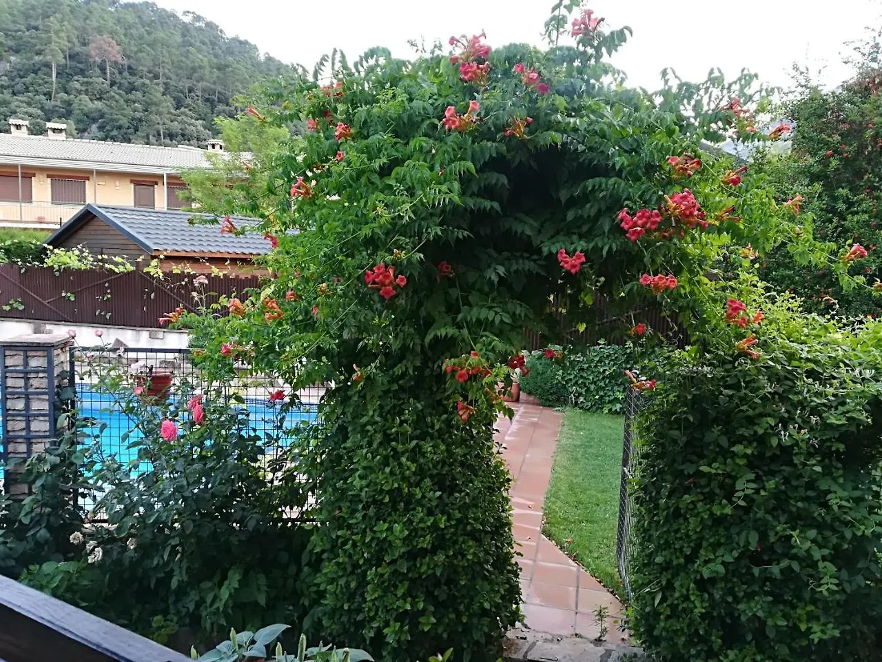 Cabanas Los Pinos Arroyo Frio