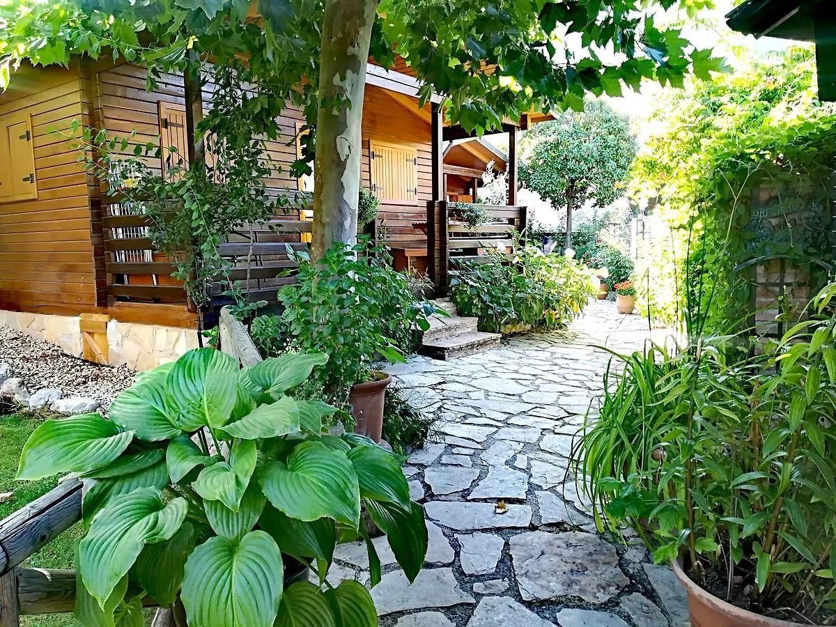 Cabanas Los Pinos Arroyo Frio Apartment
