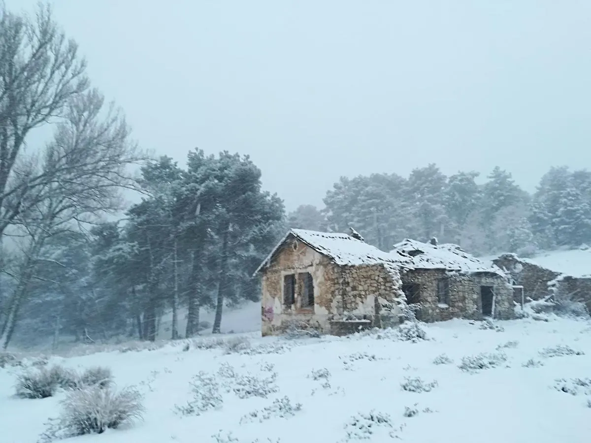 Cabanas Los Pinos Arroyo Frio Apartment